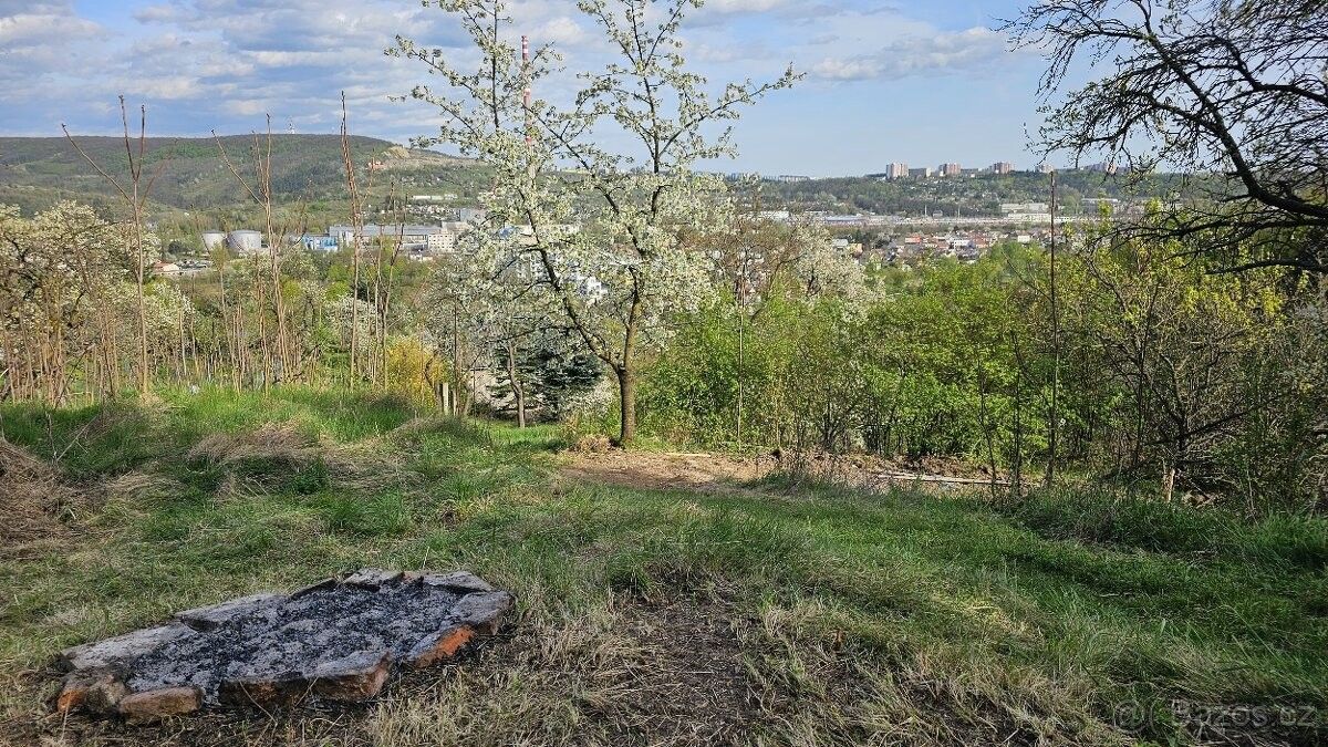 Zahrady, Brno, 638 00, 300 m²