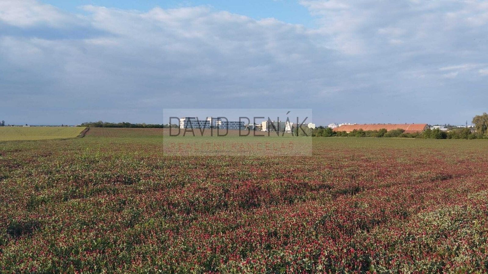 Pozemky pro bydlení, Kladenská, Přelouč, 3 807 m²