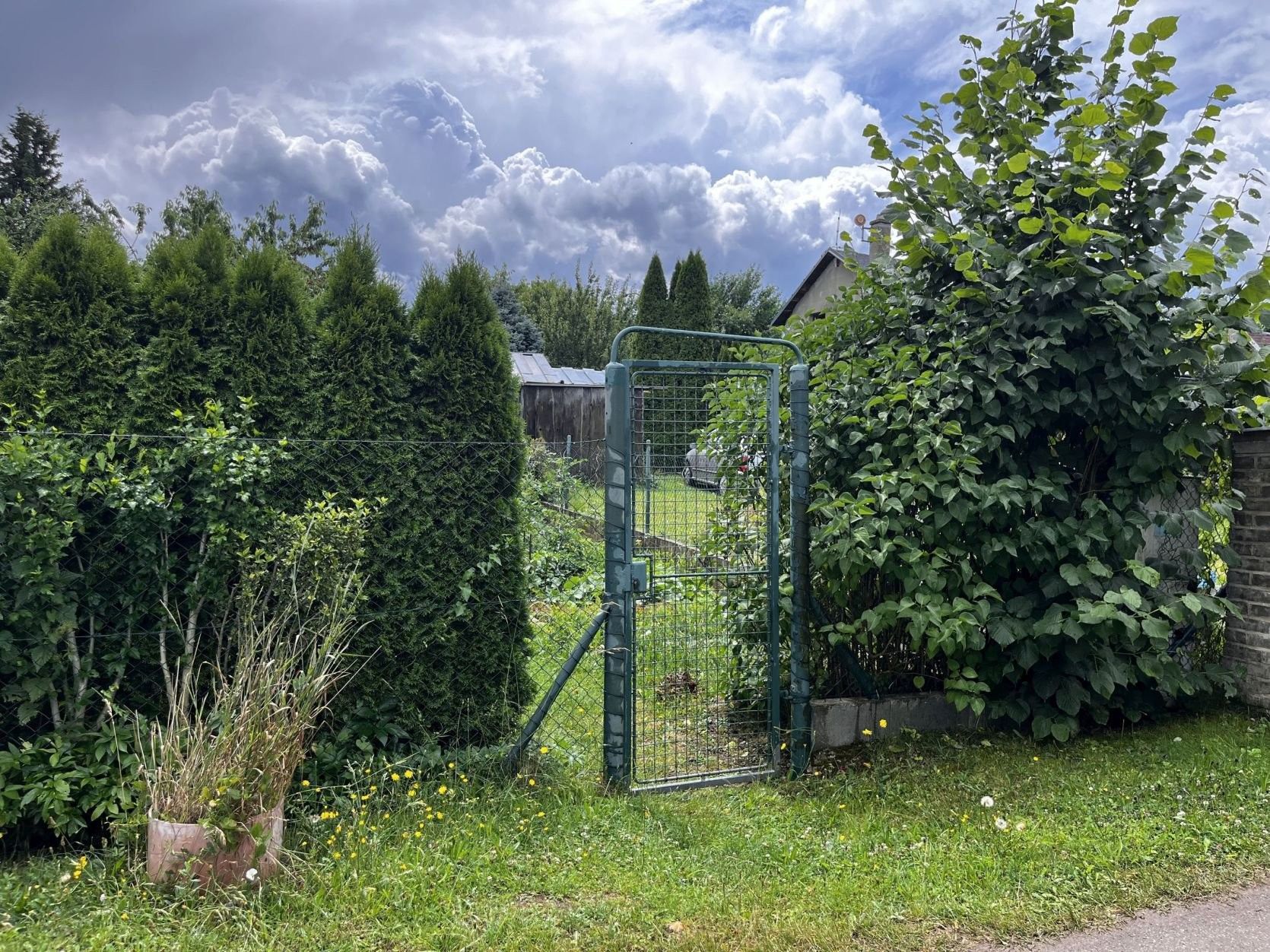 Zahrady, Planá, 353 m²