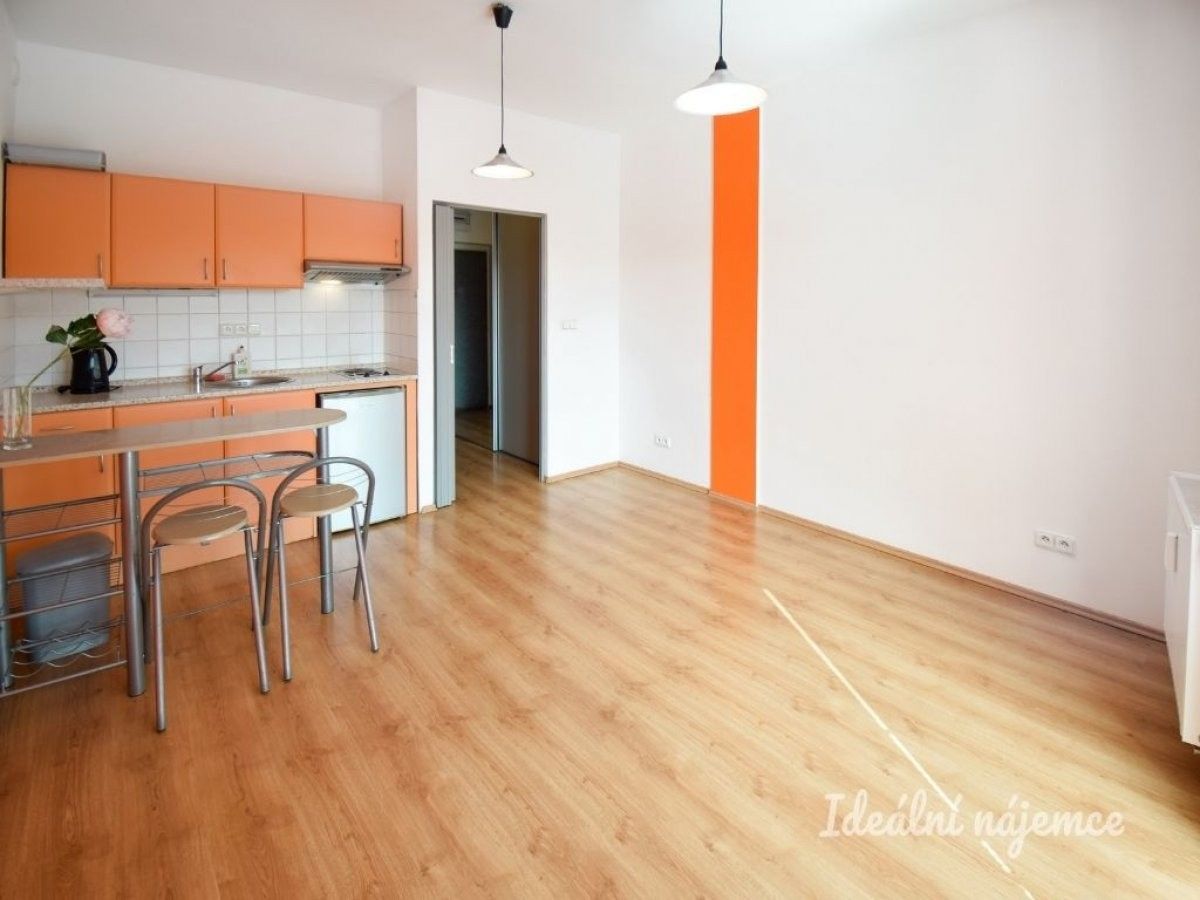 1+kk, Zlínská, Brno, 24 m²