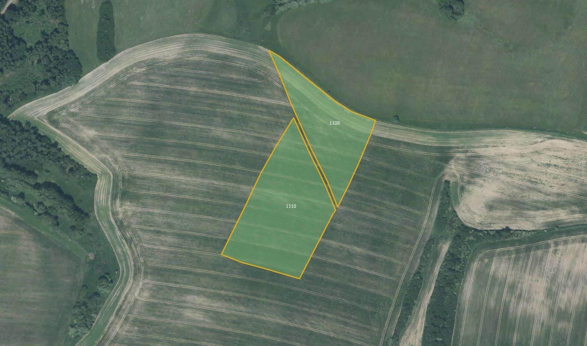 Zemědělské pozemky, Nové Lublice