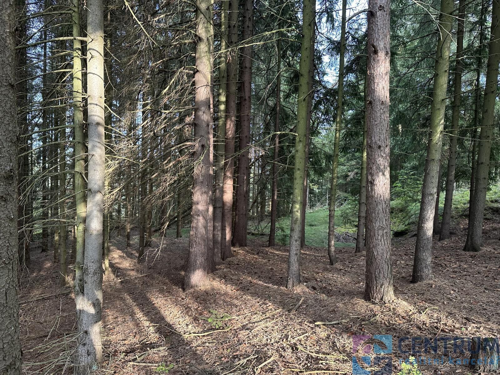 Prodej les - Jirkov, Železný Brod