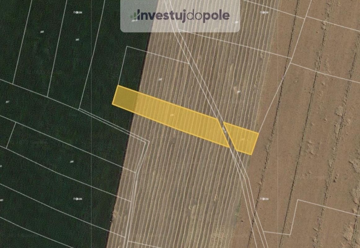 Prodej zemědělský pozemek - Dobrovice, 294 41, 3 264 m²