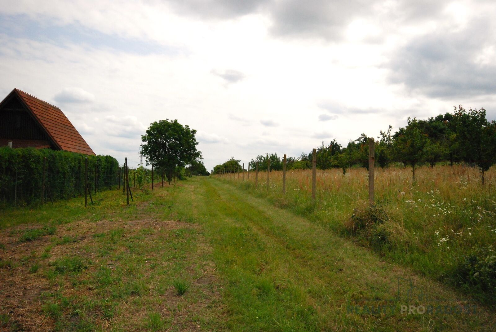 Prodej pozemek pro bydlení - Charvátská Nová Ves, Břeclav, 1 960 m²