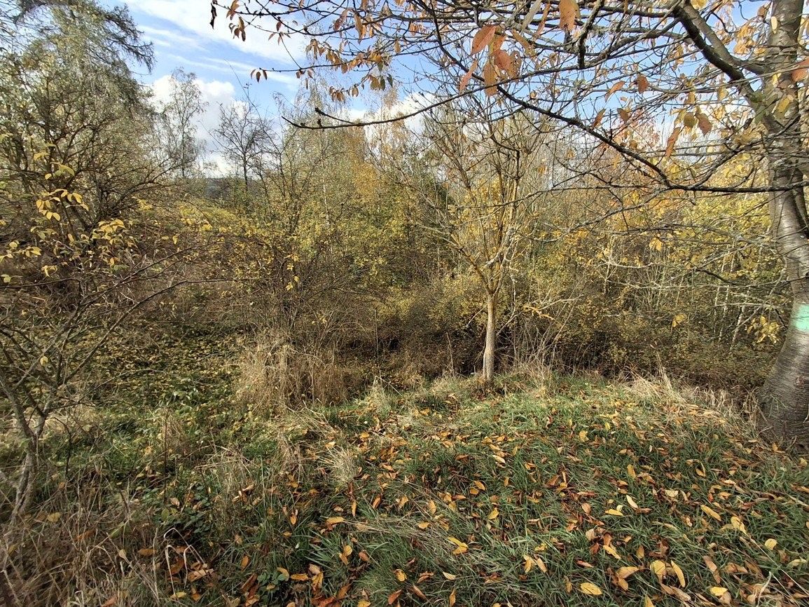 Lesy, Semtěš, Pšov