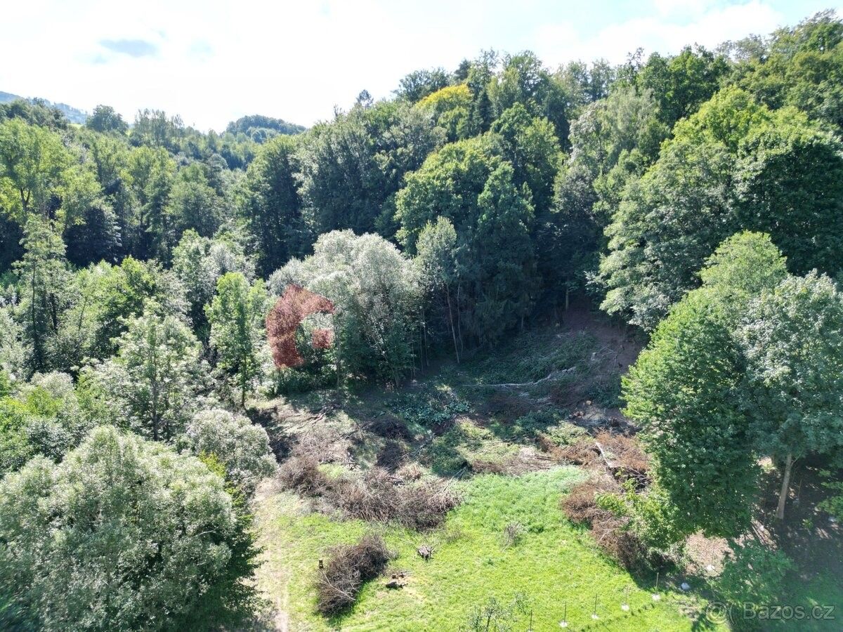 Pozemky pro bydlení, Zlaté Hory v Jeseníkách, 793 76, 3 055 m²