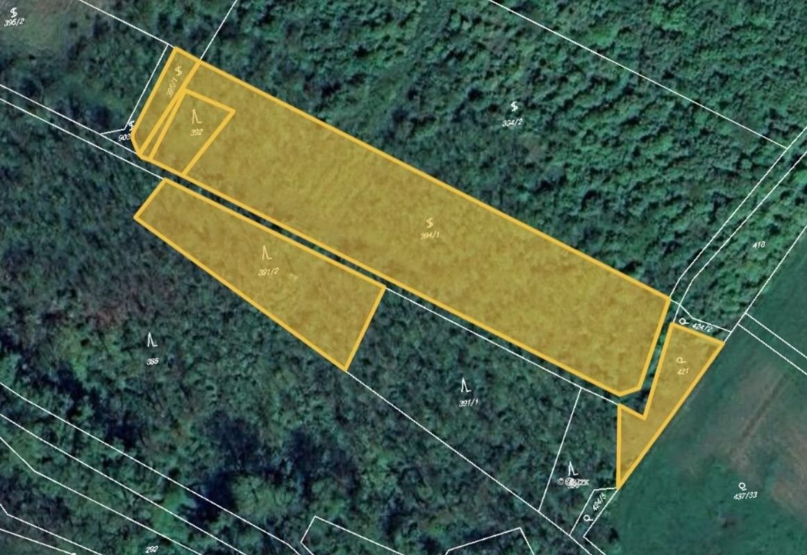 Ostatní, Němčičky, 2 436 m²