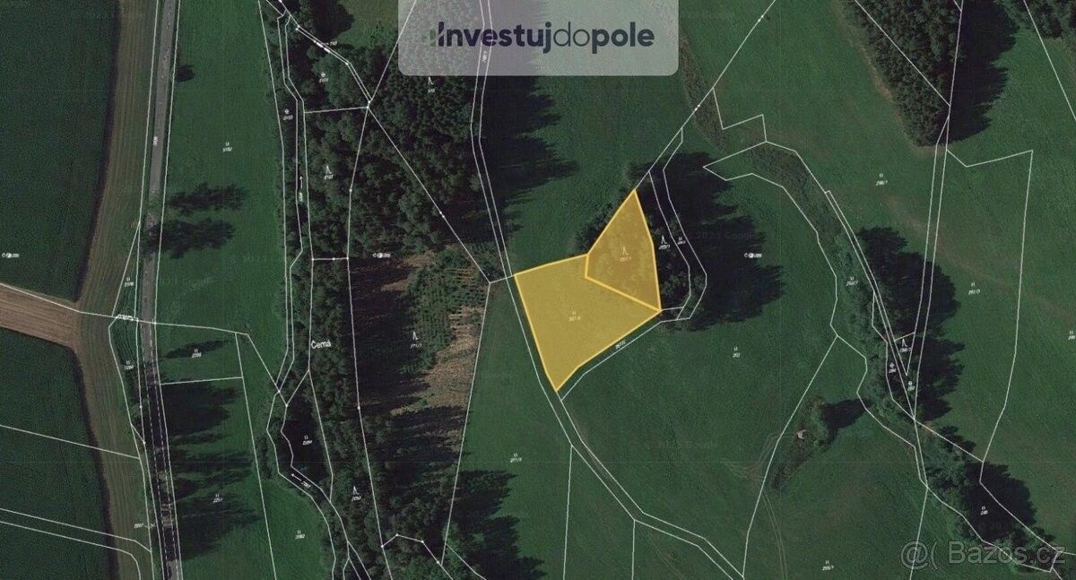 Prodej louka - Nová Paka, 509 01, 4 007 m²