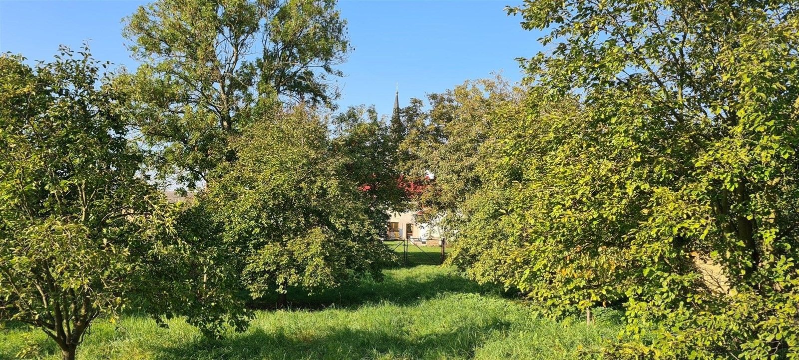 Prodej pozemek pro bydlení - Těšetice, 1 364 m²