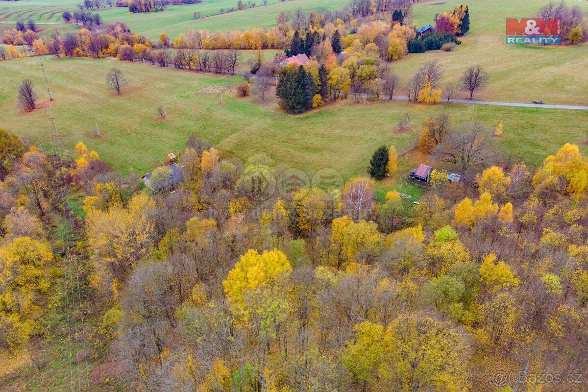 Prodej zemědělský pozemek - Rokytnice v Orlických horách, 517 61, 2 486 m²