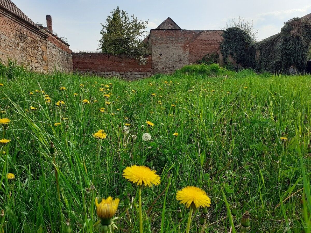 Prodej pozemek pro bydlení - Očihov, 439 87, 539 m²