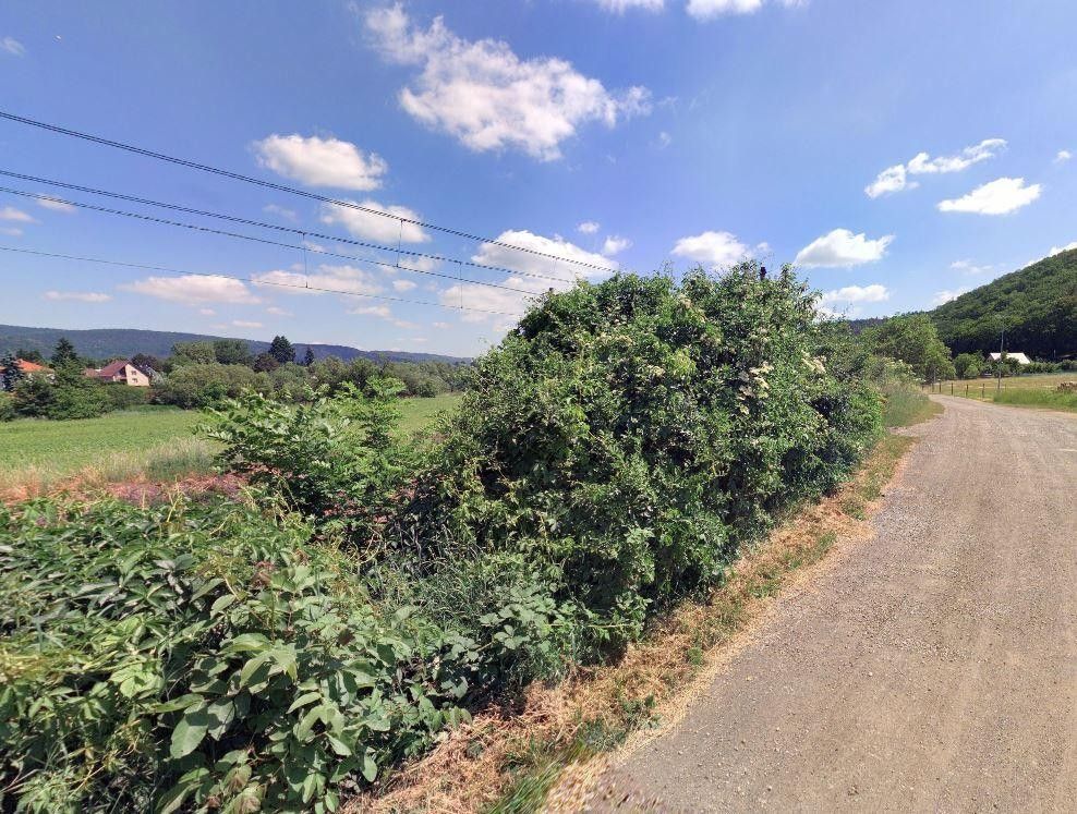 Prodej zemědělský pozemek - Lety pod lesem, Lety, 500 m²