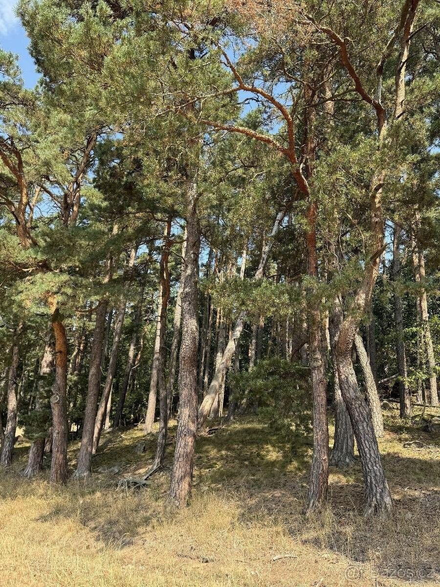 Pozemky pro bydlení, Kasejovice, 335 44