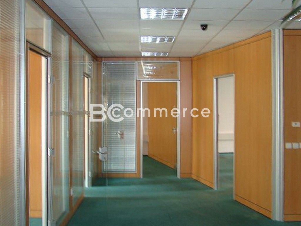 Kanceláře, Brno-město, Brno, 227 m²