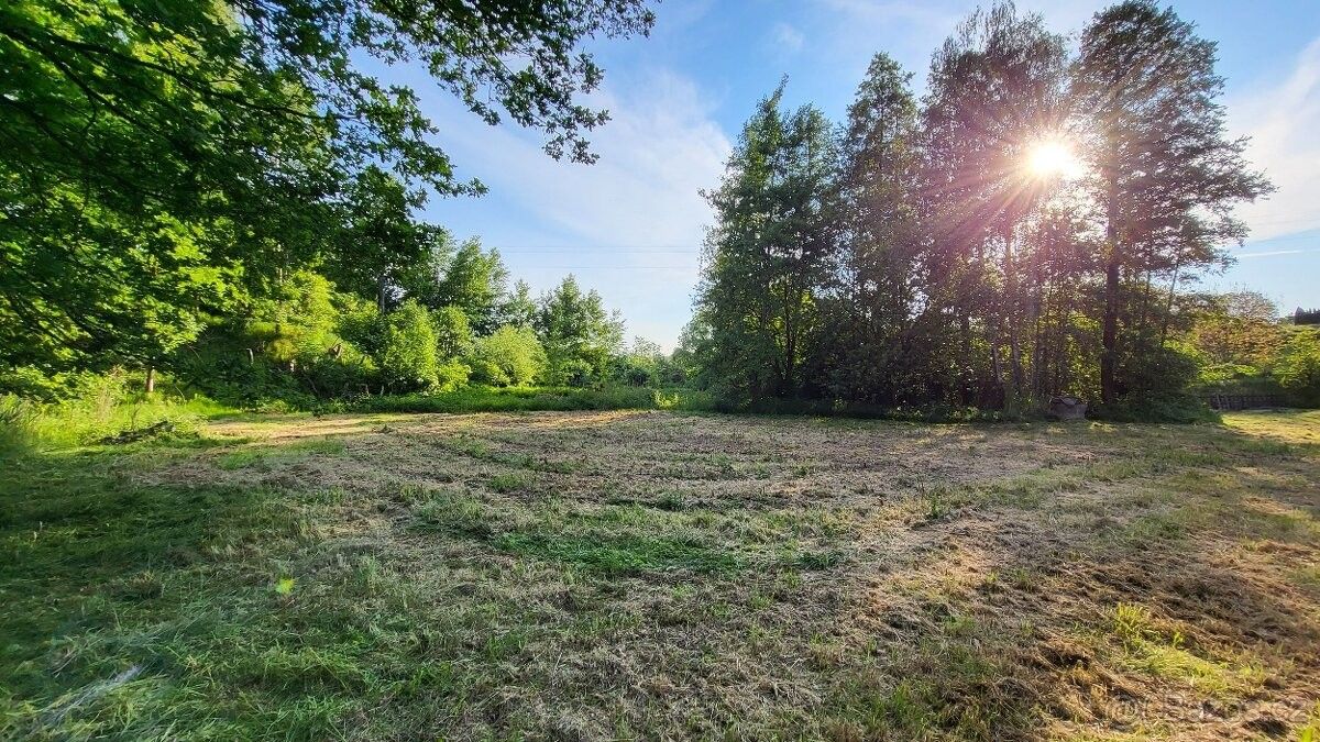 Prodej pozemek pro bydlení - Ludgeřovice, 747 14, 1 999 m²