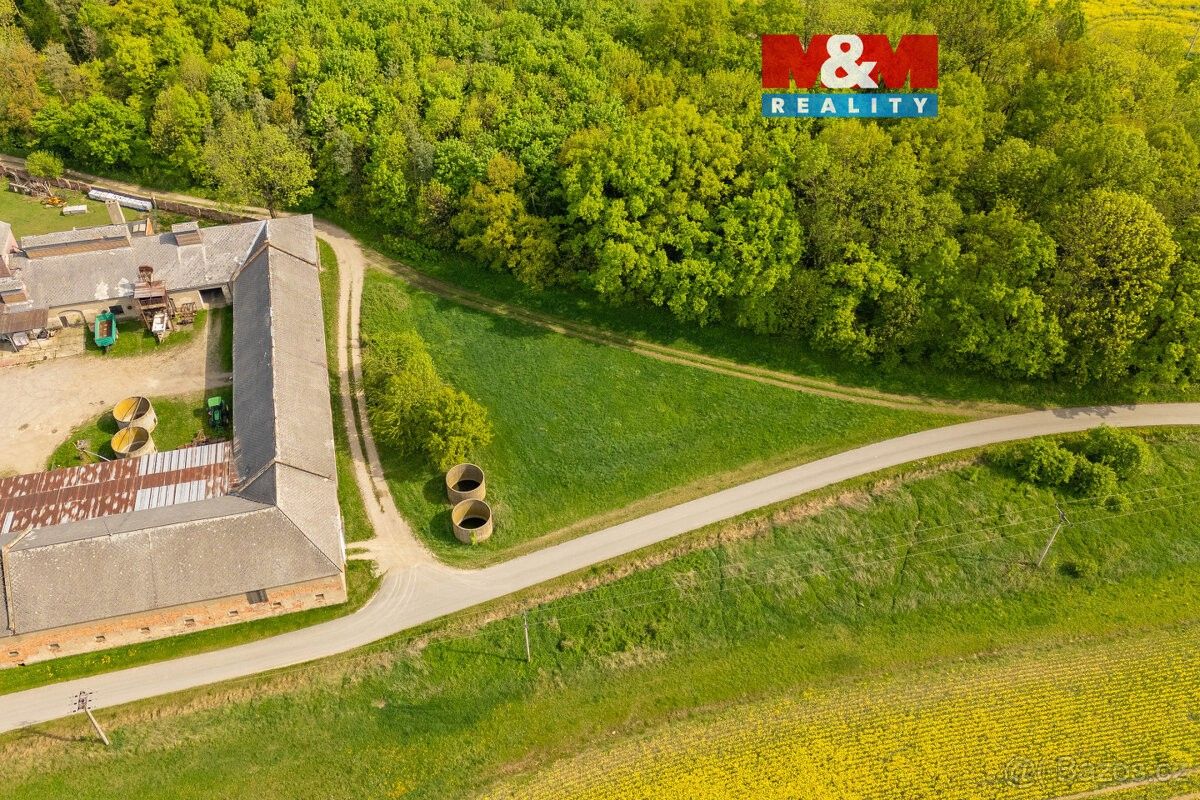 Prodej zemědělský pozemek - Javorník u Jeseníku, 790 70, 2 451 m²