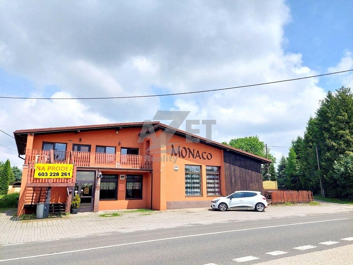 Restaurace, Ostravská, Český Těšín, 230 m²