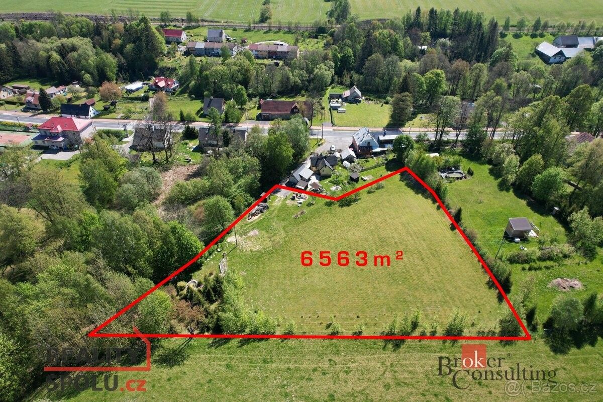 Pozemky pro bydlení, Lomnice u Rýmařova, 793 02, 6 563 m²