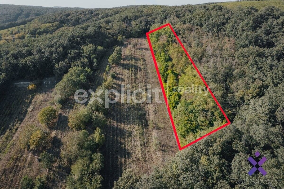 Prodej ostatní - Kobylí na Moravě, 691 10, 3 496 m²