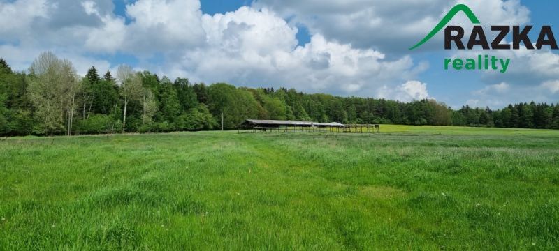 Pozemky pro bydlení, Přimda, 348 06