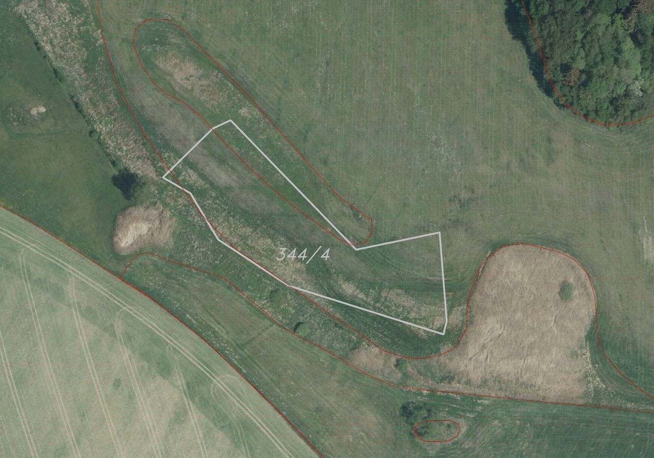 Zemědělské pozemky, Čejkov, Nový Rychnov, 4 m²