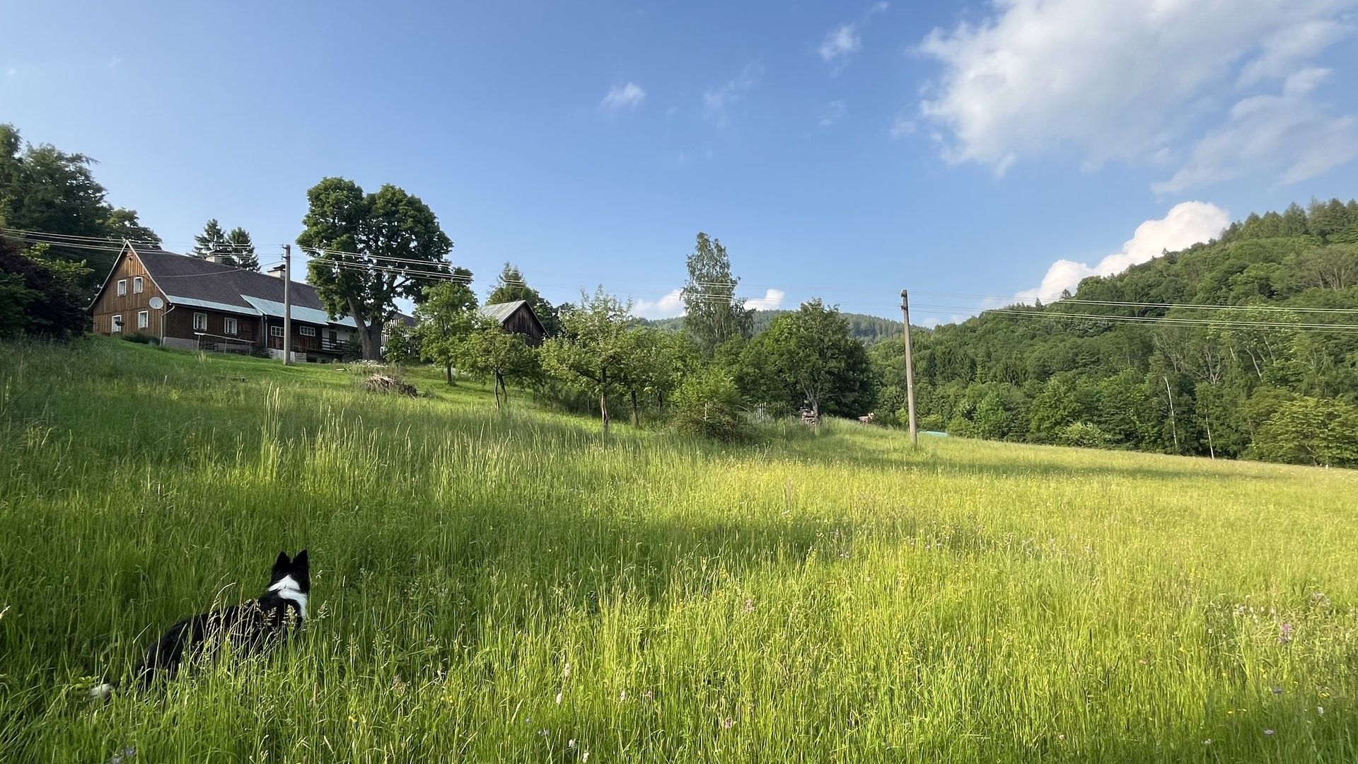 Pozemky pro bydlení, Zlatá Olešnice, 1 101 m²