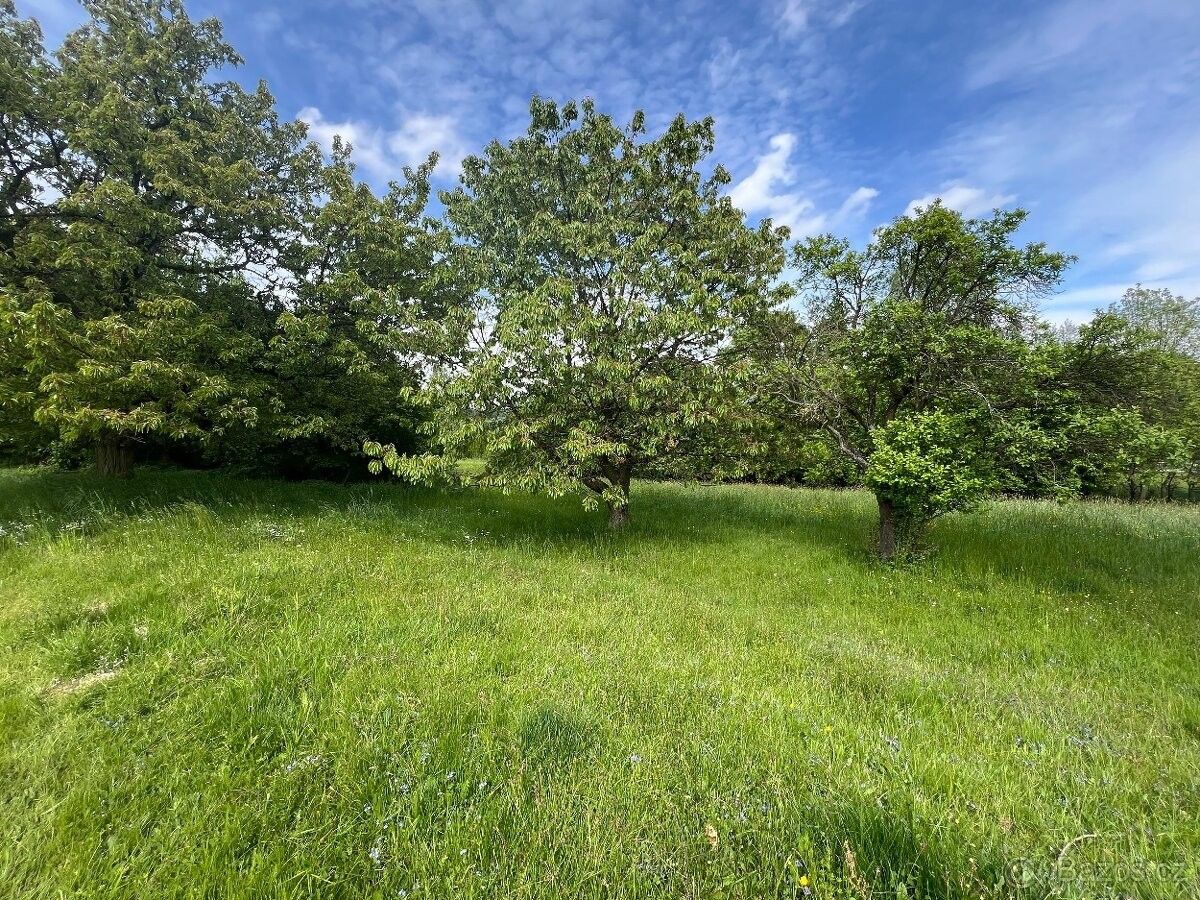 Pozemky pro bydlení, Dvůr Králové nad Labem, 544 01