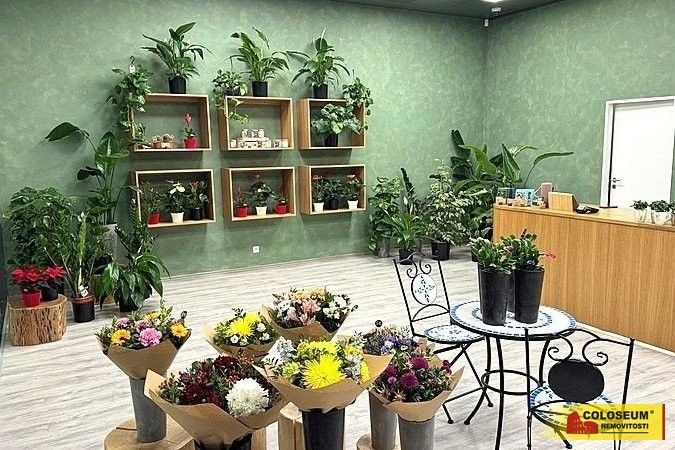 Obchodní prostory, Brno-město, Brno, 64 m²