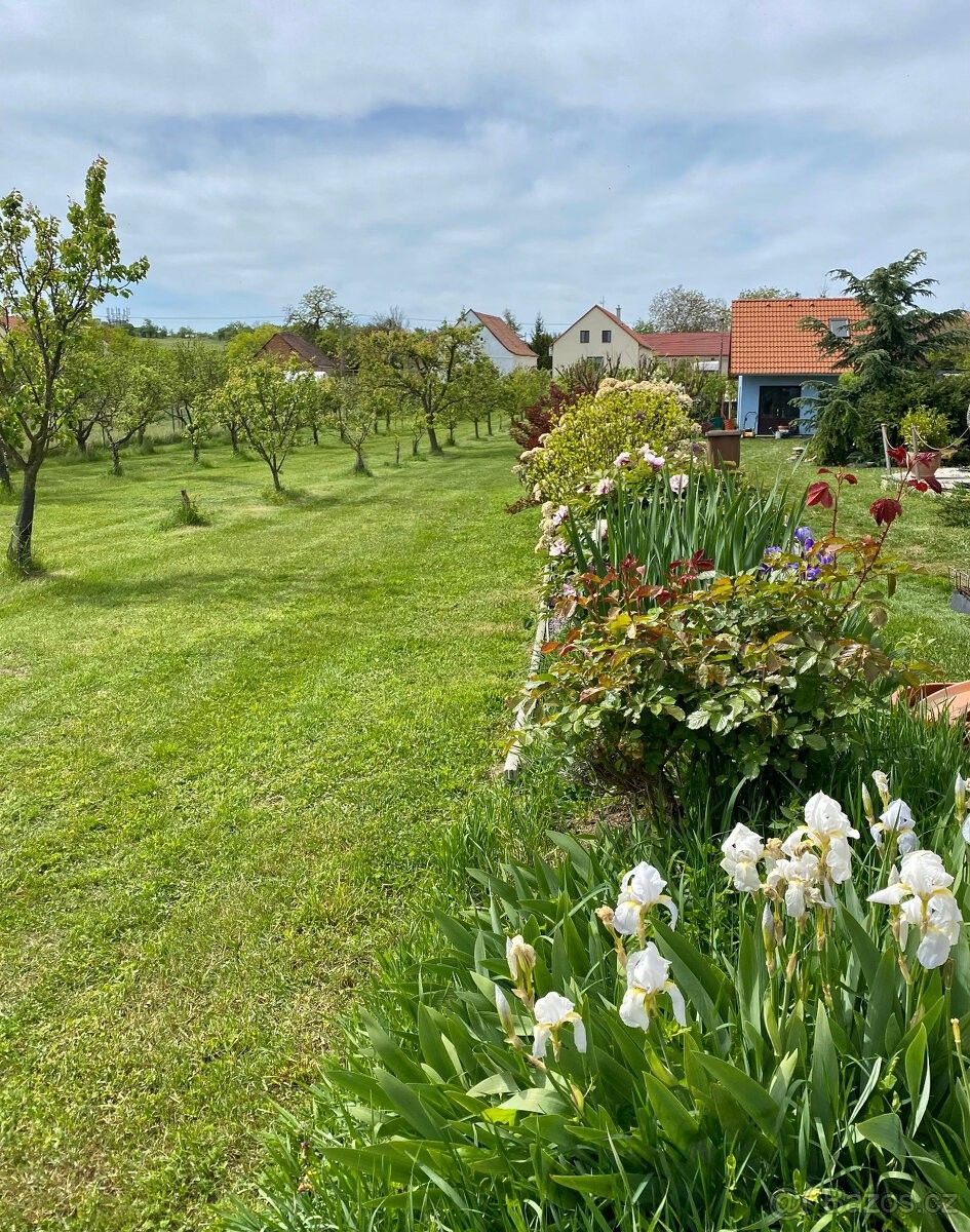 Prodej pozemek - Znojmo, 669 02, 2 210 m²