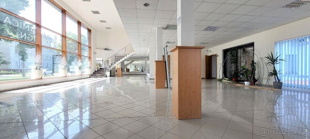 Obchodní prostory, Opava, 746 01