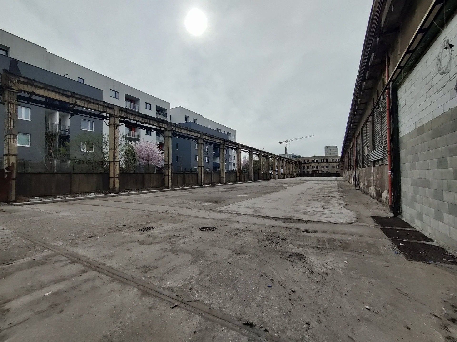 Ostatní, Kolbenova, Praha, 1 000 m²