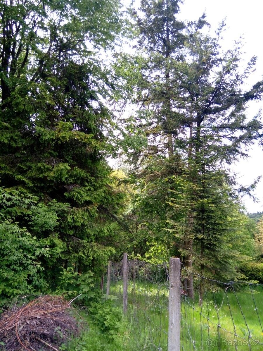 Pozemky pro bydlení, Břidličná, 793 51