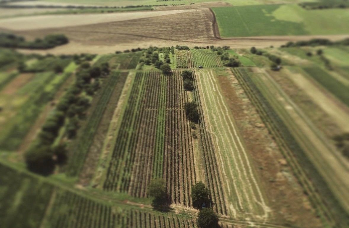 Zahrady, Brumovice na Moravě, 691 11