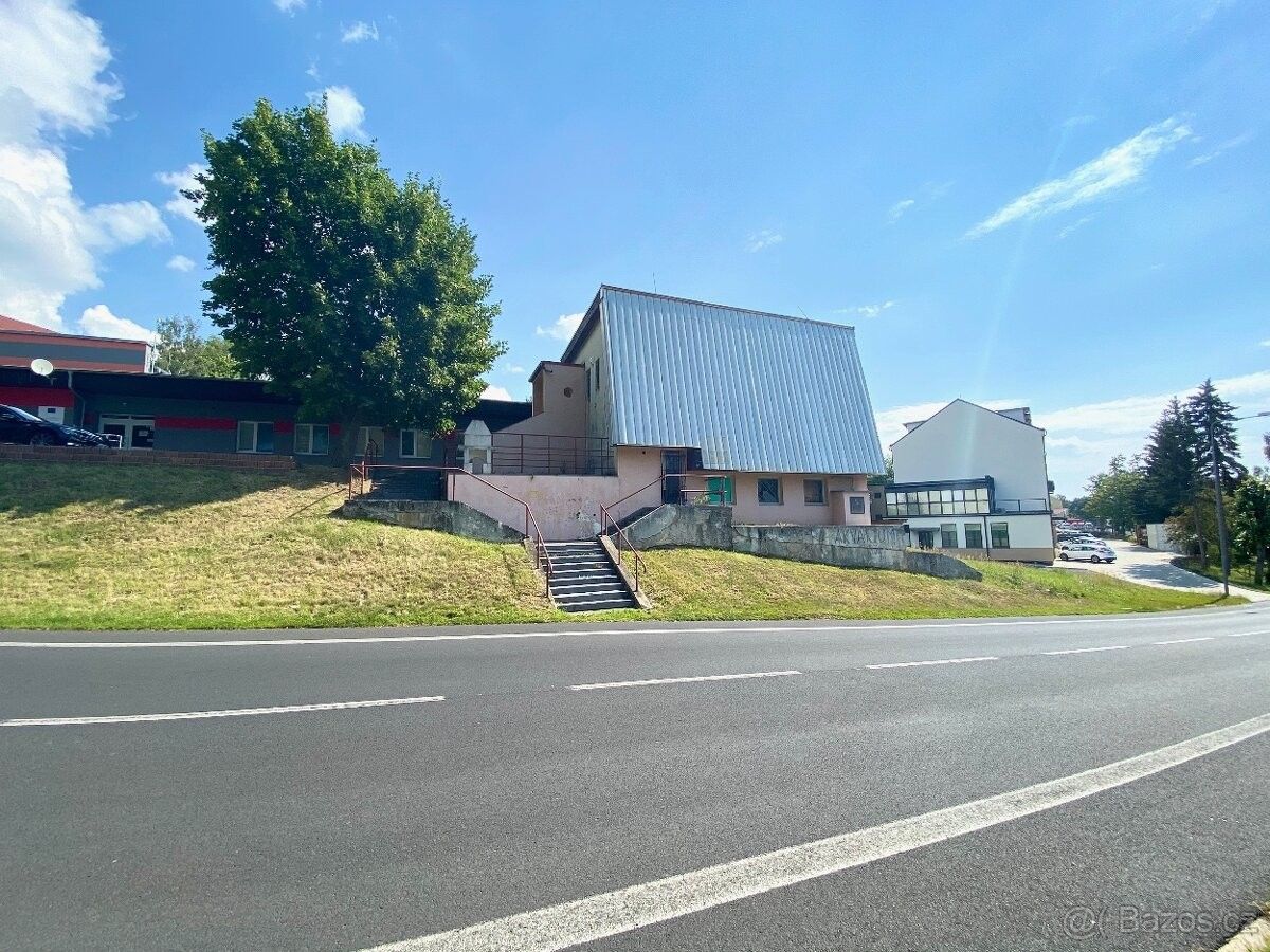 Prodej obchodní prostory - Meziboří u Litvínova, 435 13, 450 m²