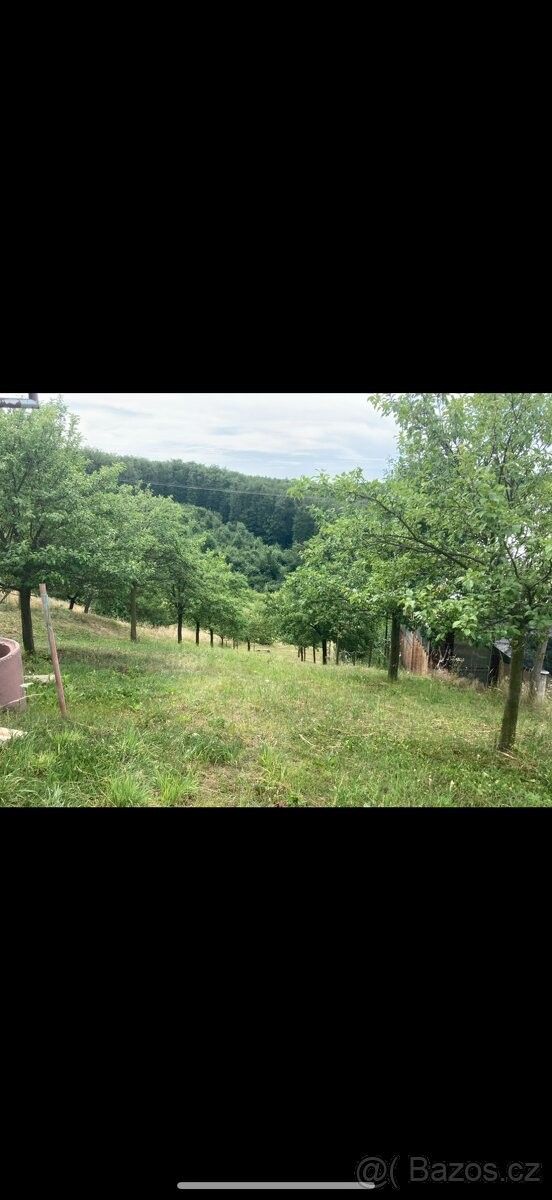 Zahrady, Kyjov, 697 01