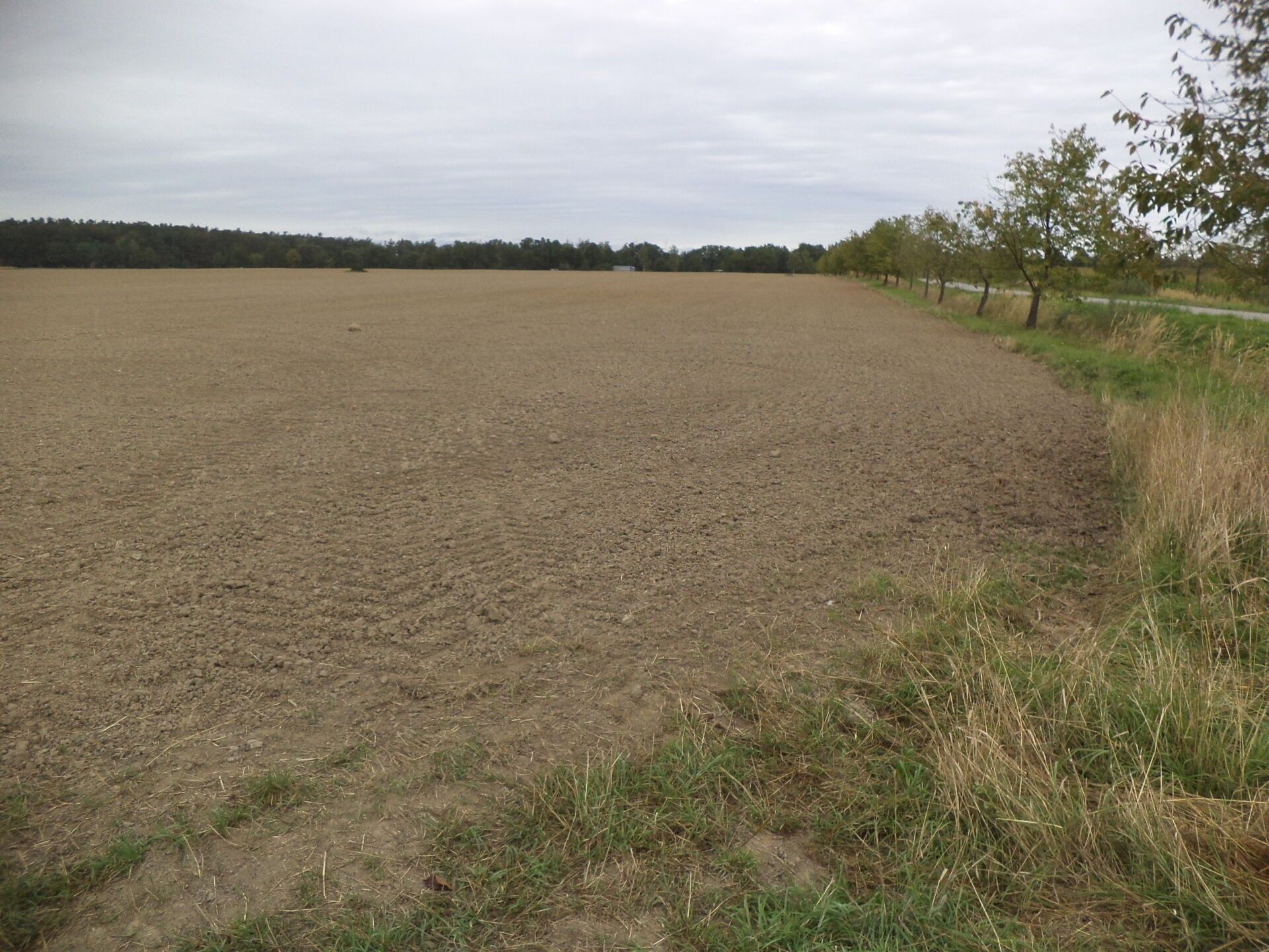 Ostatní, Tupesy, Radošovice, 1 m²