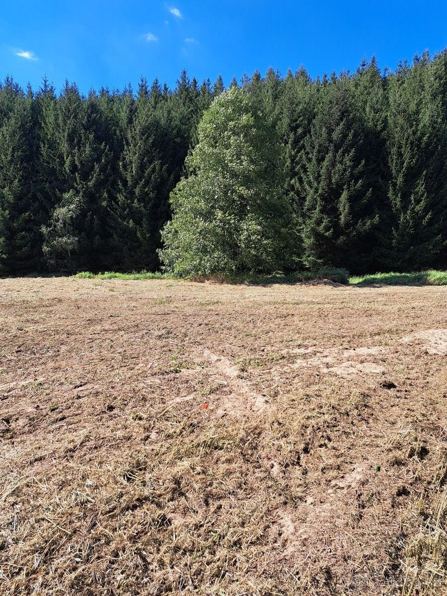 Pronájem zemědělský pozemek - Chotěboř, 583 01, 10 500 m²