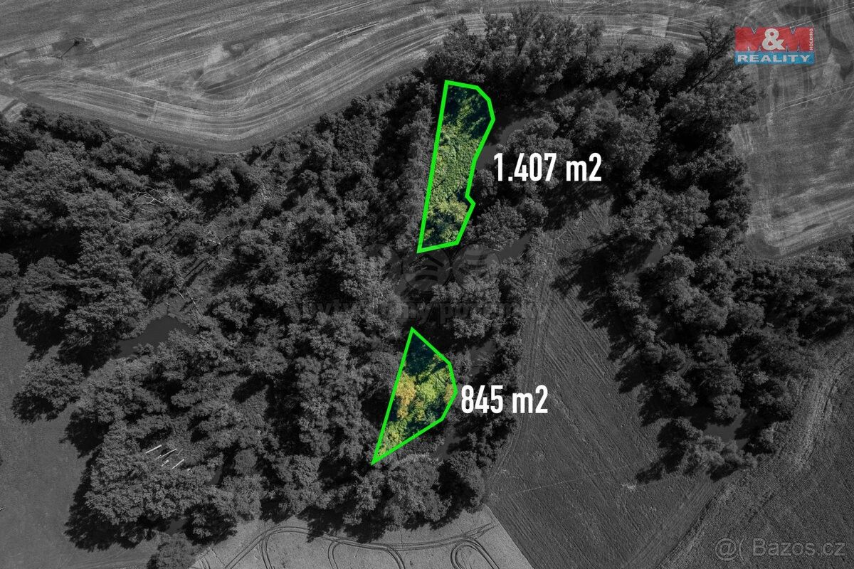 Lesy, Horka nad Moravou, 783 35, 2 252 m²