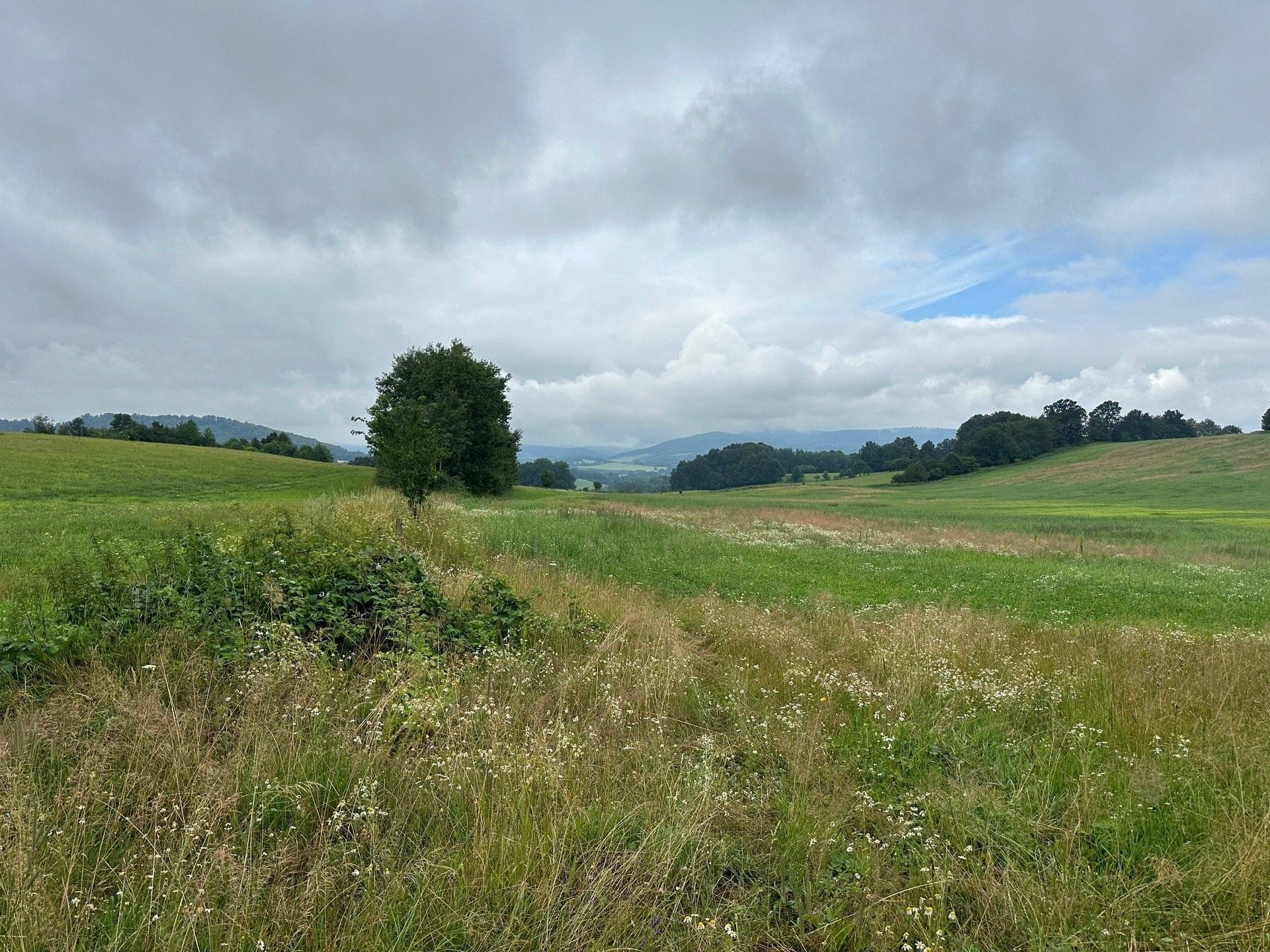 Prodej pozemek pro bydlení - Kobylá nad Vidnavkou, 3 443 m²