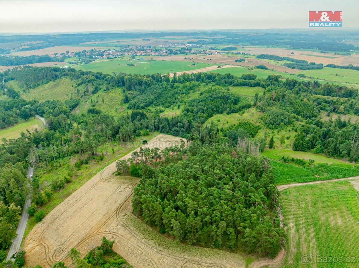 Prodej les - Budišov u Třebíče, 675 03, 8 287 m²