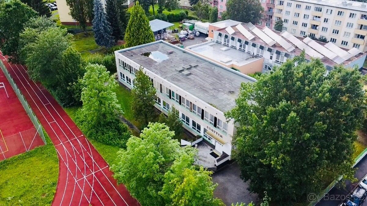 Prodej obchodní prostory - Vyšší Brod, 382 73, 533 m²