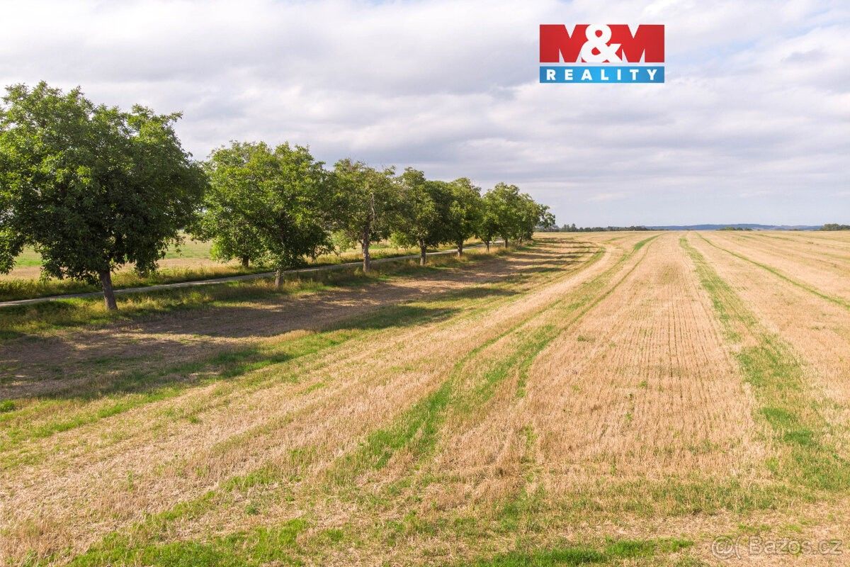 Pozemky pro bydlení, Brumovice, 747 71