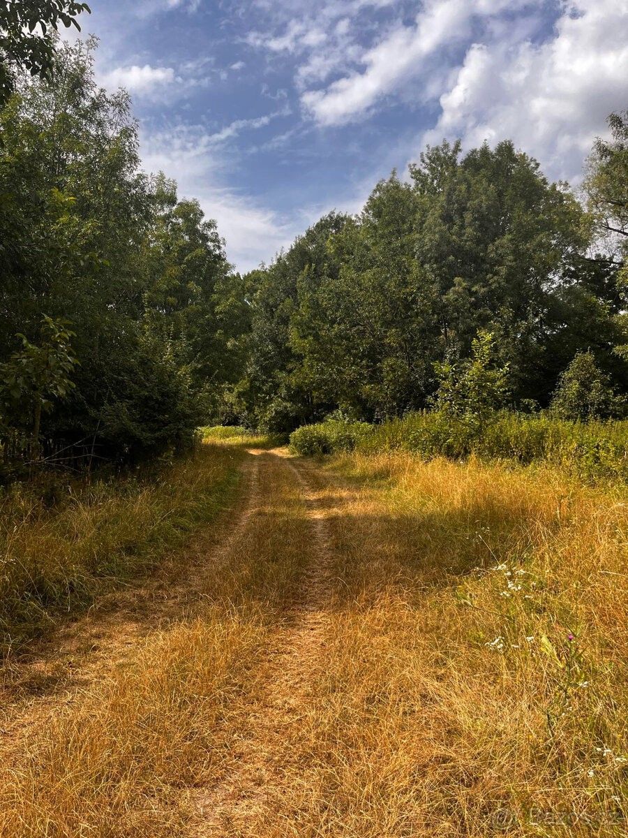 Ostatní, Slovensko, 987 65, 17 000 m²