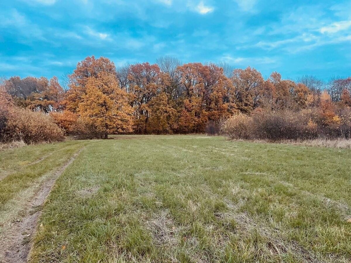 Pozemky pro bydlení, Břeclav, 690 02