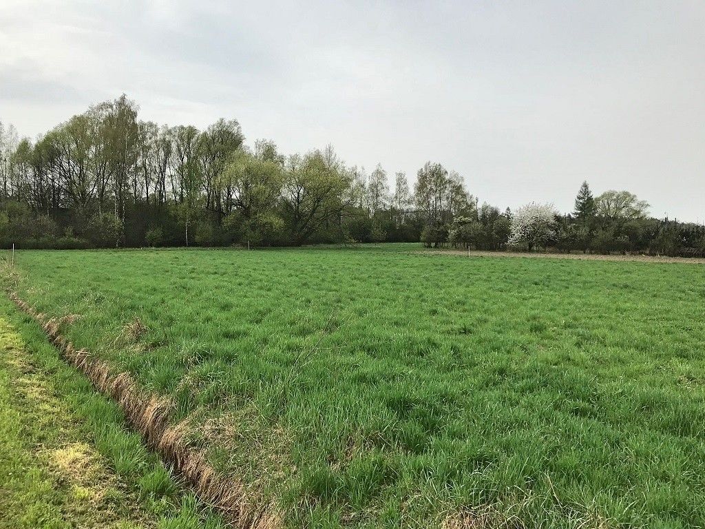 Prodej pozemek pro bydlení - Ostrava, 708 00