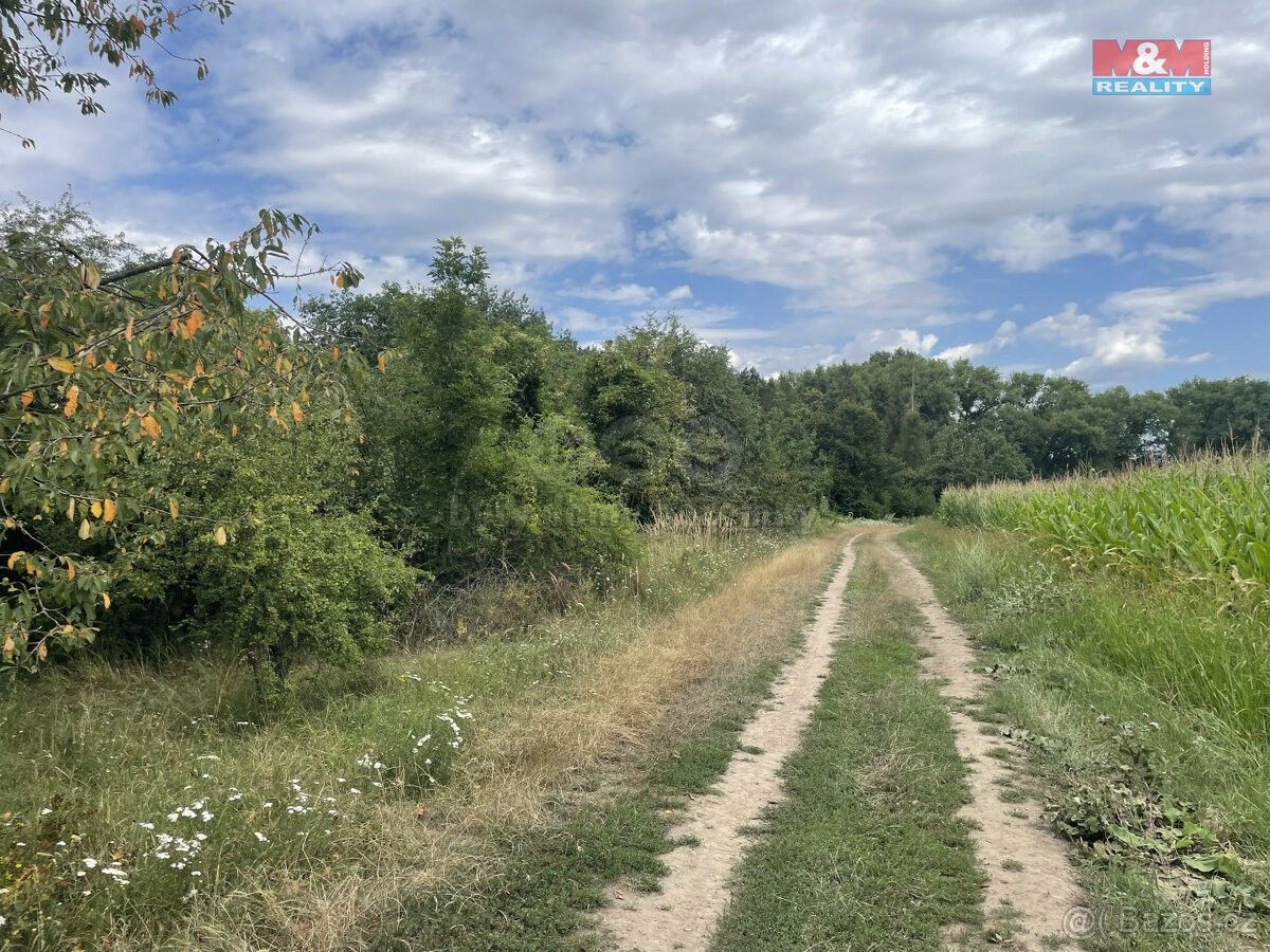 Prodej zemědělský pozemek - Jirny, 250 90, 3 880 m²