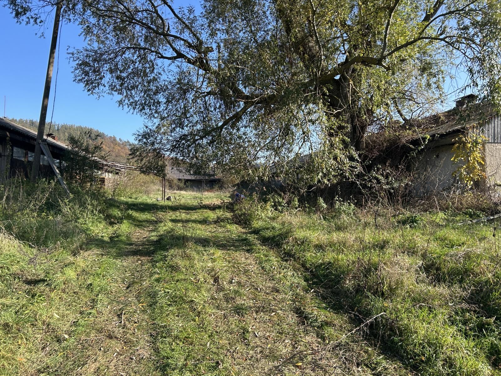 Pronájem zemědělský objekt - Lomnička, 2 400 m²