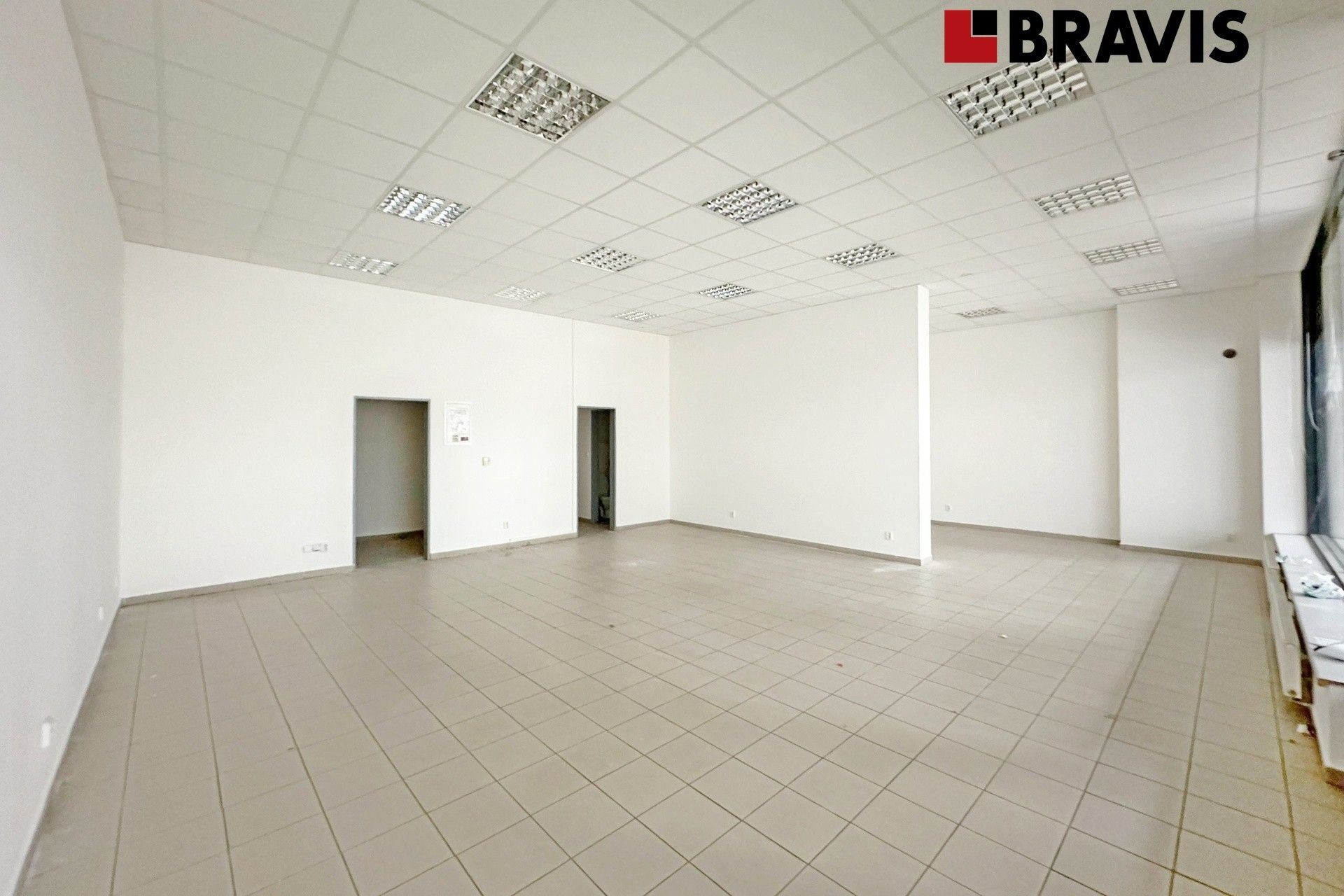 Obchodní prostory, Purkyňova, Brno, 78 m²