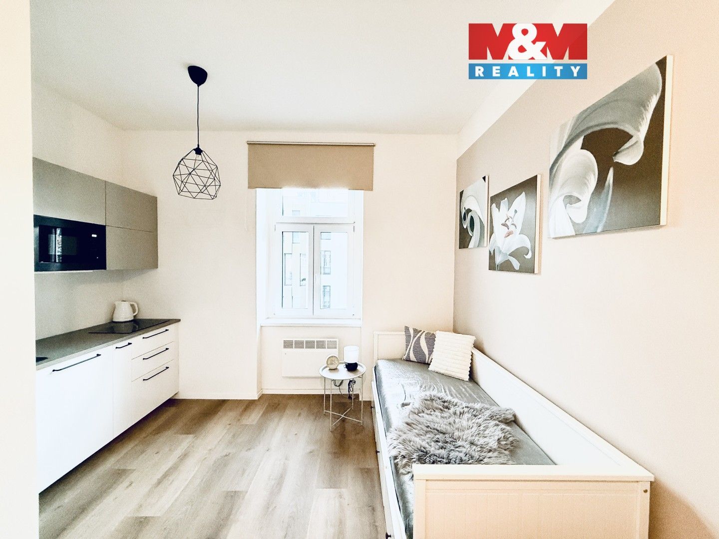 1+kk, U Tyrše, Praha, 19 m²