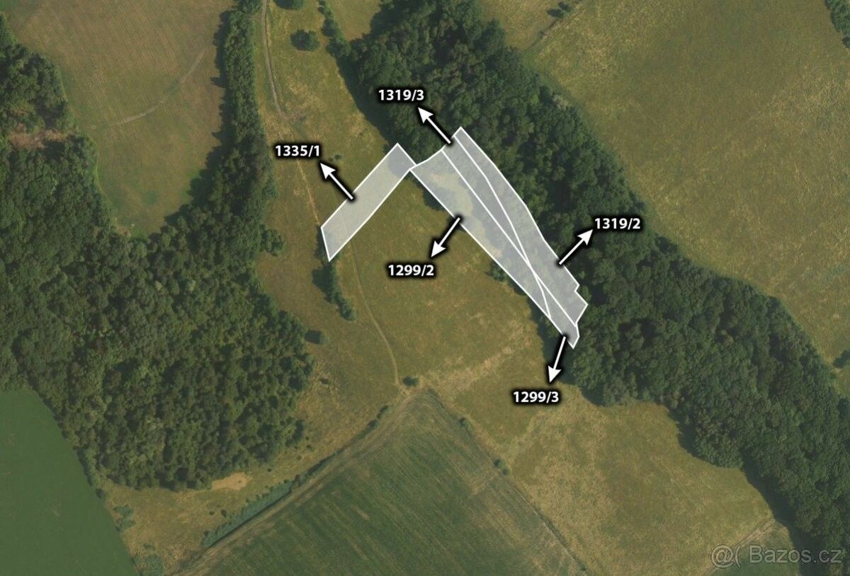 Zemědělské pozemky, Velký Ořechov, 763 07, 10 452 m²